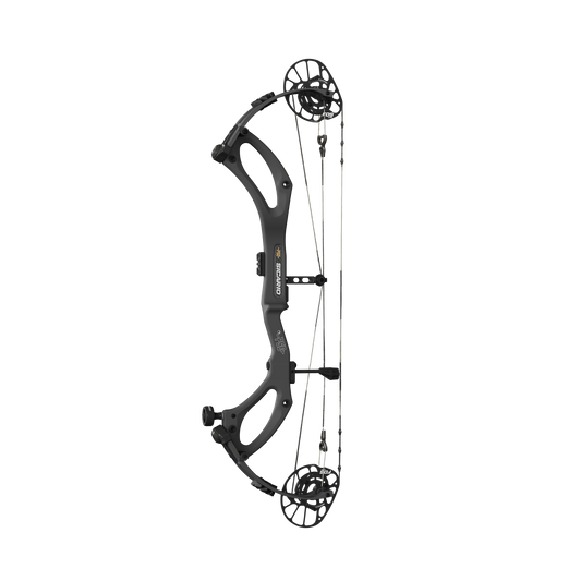 ARCO PSE SICARIO