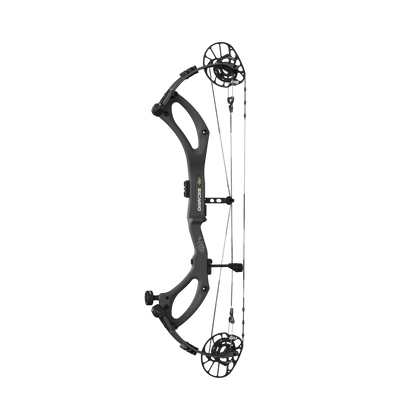 ARCO PSE SICARIO