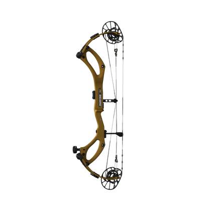 ARCO PSE SICARIO